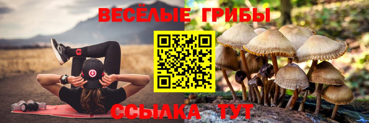 Зима  Псилоцибиновые грибы MAGIC MUSHROOMS  Вход с VPN  хочу наркоту  Псилоцибиновые грибы MAGIC MUSHROOMS 